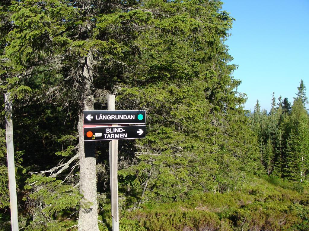 Tomtelandstugan โมรา ภายนอก รูปภาพ